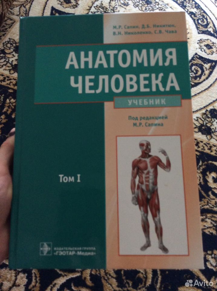 Сапин анатомия человека. Атлас анатомии человека Сапин 1 том. Анатомия атлас Сапин. Сапин анатомия человека в 2 томах 1993. Учебник по анатомии Сапин 1 том 1986.