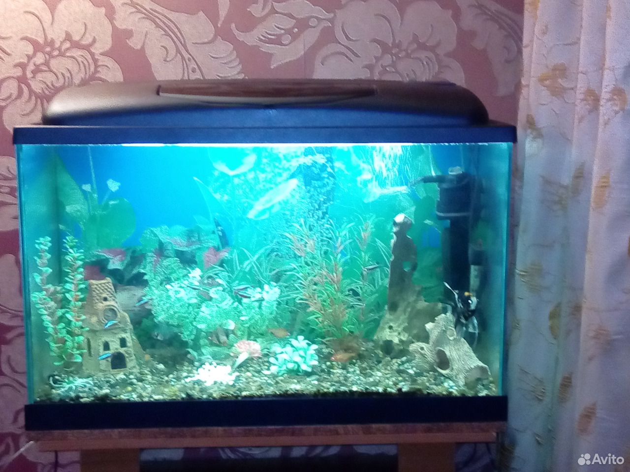 Продам аквариум купить на Зозу.ру - фотография № 3