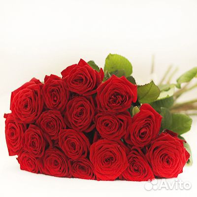Букет из 17 красных роз в крафте купить на Зозу.ру - фотография № 1