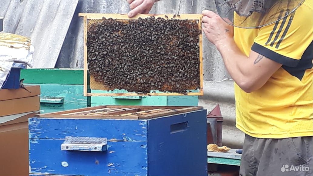 Пчело покеты купить на Зозу.ру - фотография № 1