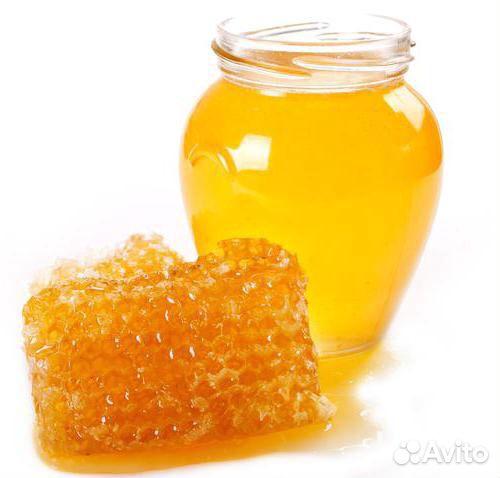 Продам мёд купить на Зозу.ру - фотография № 2