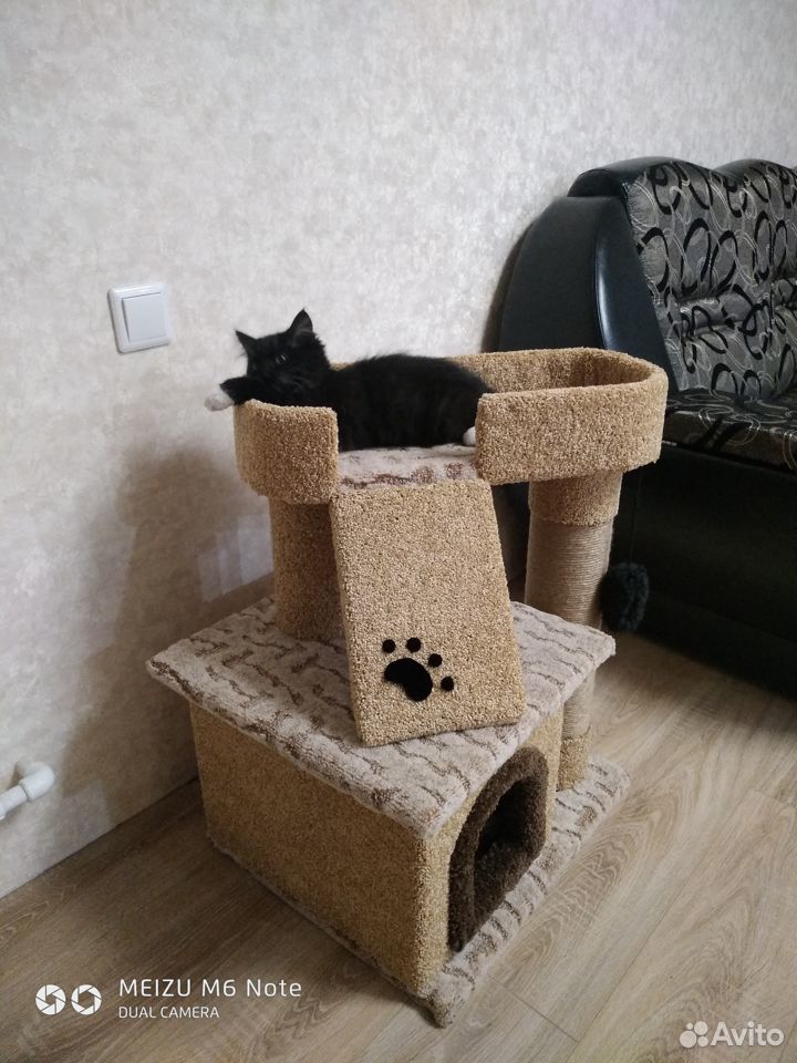 Дом для кошки, когтеточька купить на Зозу.ру - фотография № 1