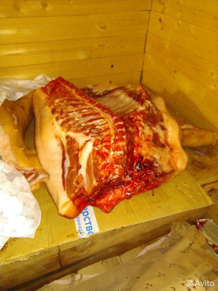 Продам свиней на мясо купить на Зозу.ру - фотография № 3