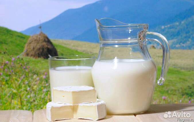Молоко коровье сырое по гост 31449-2013 купить на Зозу.ру - фотография № 1