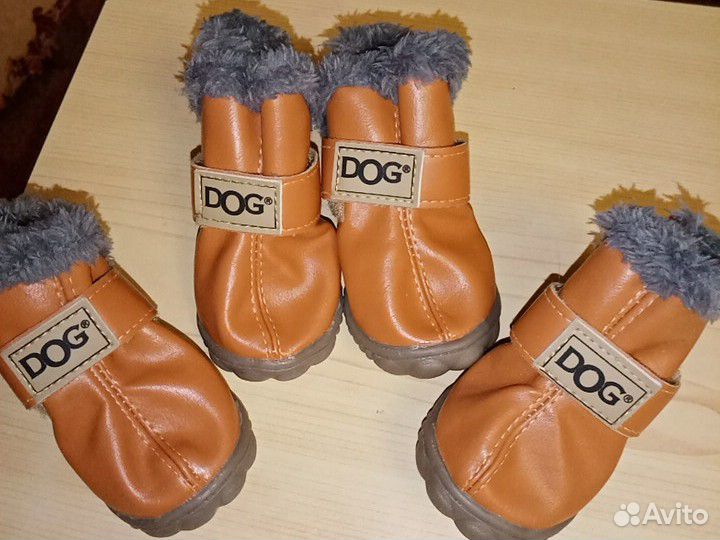 Ботиночки для собак купить на Зозу.ру - фотография № 1