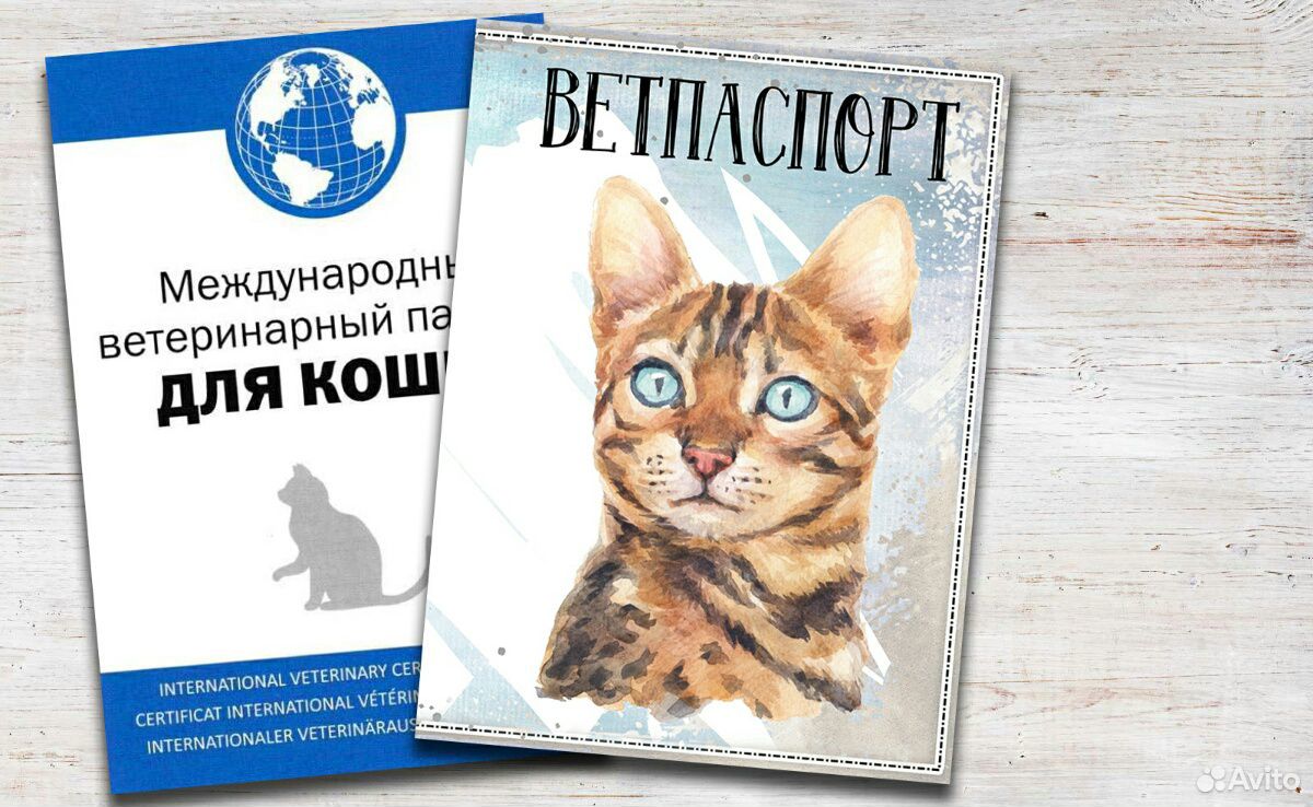 Ветеринарный паспорт купить на Зозу.ру - фотография № 9