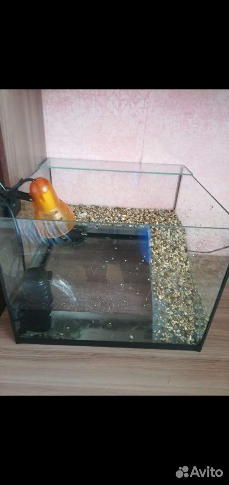Черепахи и аквариум купить на Зозу.ру - фотография № 4