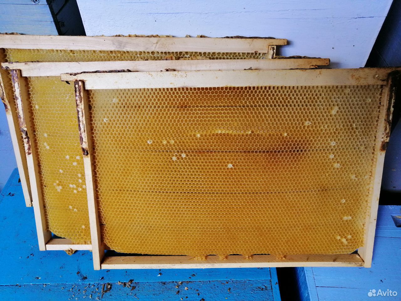 Сушь для пчёл купить на Зозу.ру - фотография № 1