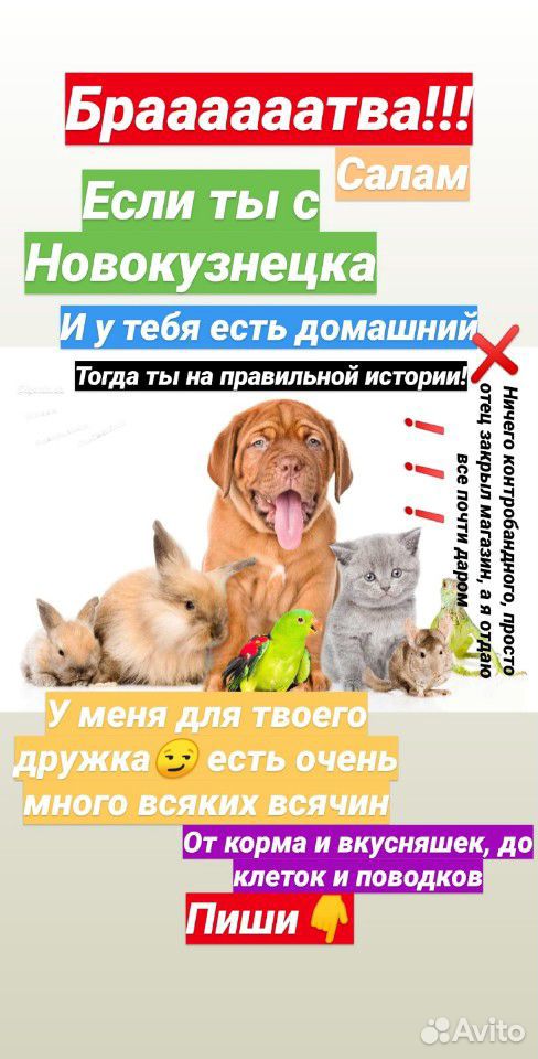 Для Животных купить на Зозу.ру - фотография № 1