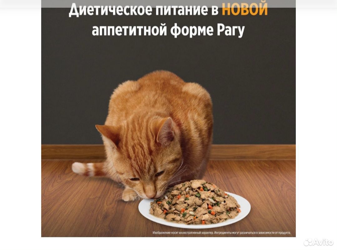 Консервы для котов Hills k/d купить на Зозу.ру - фотография № 6