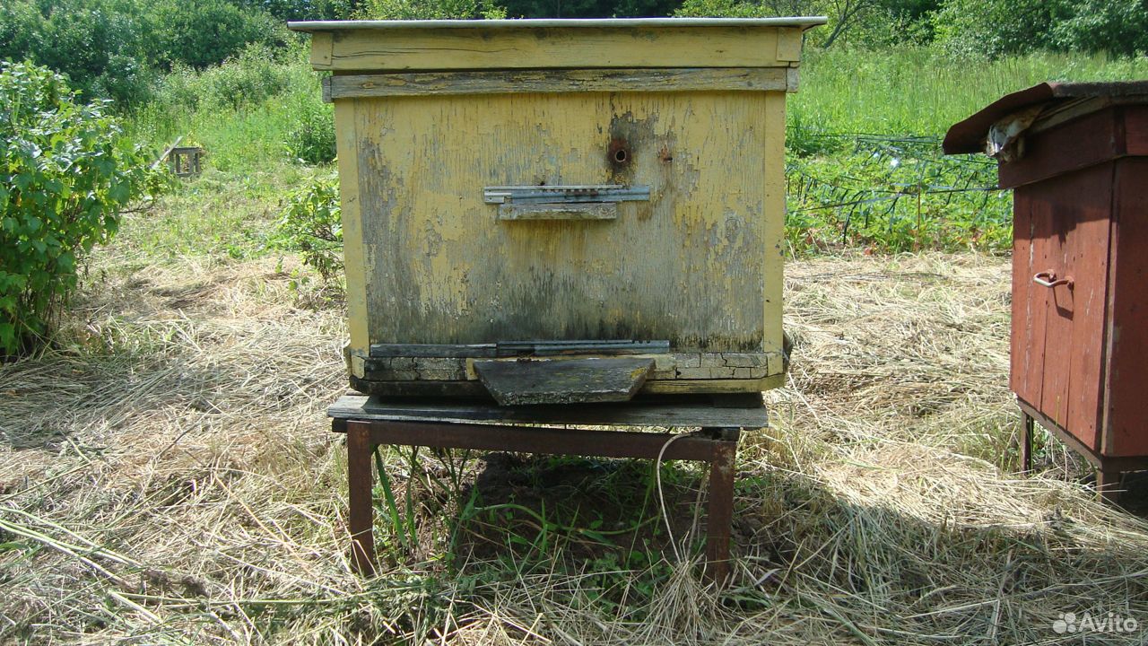 Пчелиные ульи купить на Зозу.ру - фотография № 8