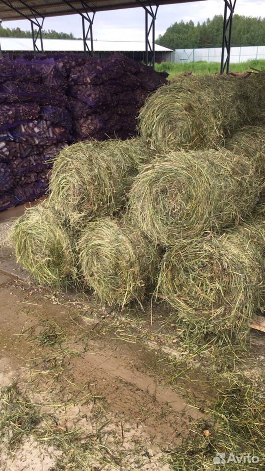 Сено сеяное в рулонах 20 кг купить на Зозу.ру - фотография № 4