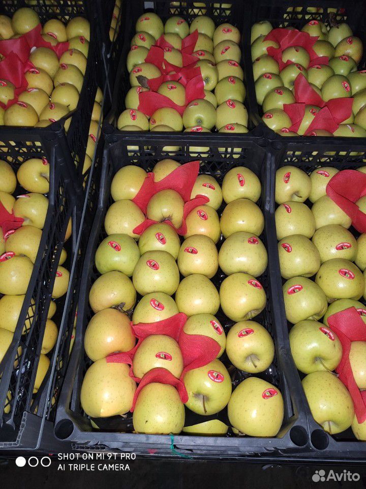 Яблоки,цитрусы,косточка,гранат купить на Зозу.ру - фотография № 2