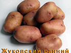 Семенной картофель - репродукция элита объявление продам
