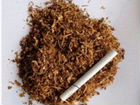 Семена табака объявление продам