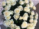 Роза крупная, букет роз 60см,70см объявление продам