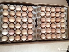 Яйца от домашних кур (пригодны для инкубатора)