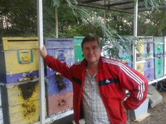 Пчелопакеты из Майкопа в Самаре