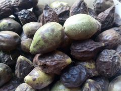 Плоды манчьжурского ореха