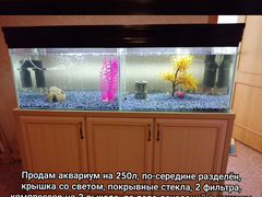 Продам аквариумы