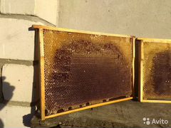 Продаю пчеловодческую сушь