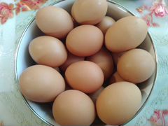 Яйца от счастливых кур