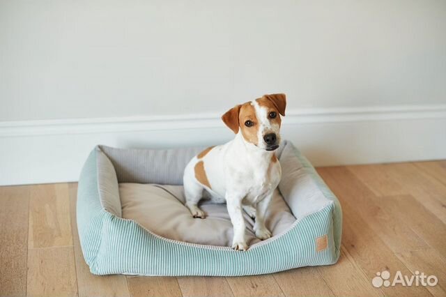 Лежанка для собаки: мятный и серый