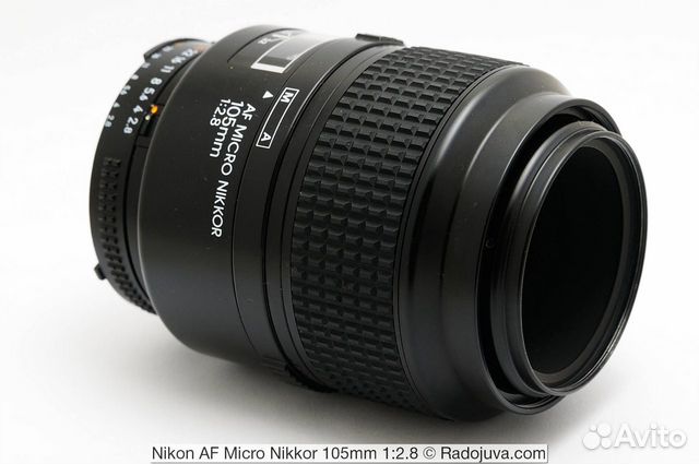 注目ショップ NIKON AF f/2.8 105mm NIKKOR MICRO - レンズ(単焦点) - app-zen.com 注目ショップ NIKON AF f/2.8 105mm NIKKOR MICRO - レンズ(単焦点) - app-zen.com