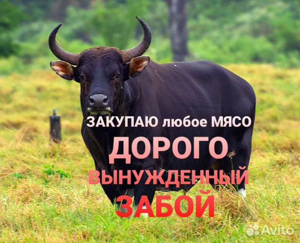 К.Р.С. на М.Я.С.О.(вынужденный забой)