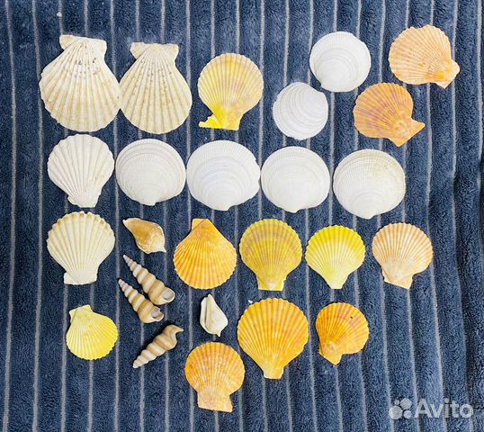 Украшения для аквариума