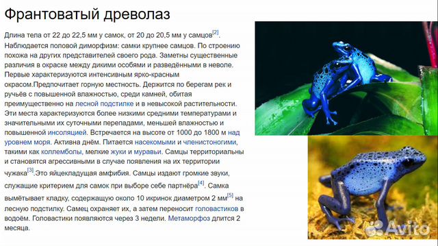 Презентация для школы 1-10кл индивидуально