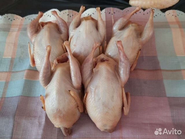 Мясо перепела Куры Индейка Утка