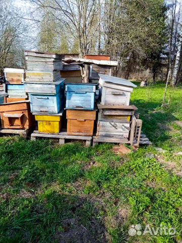 Ульи для пчел бу, рамки гнездовые и магазинные
