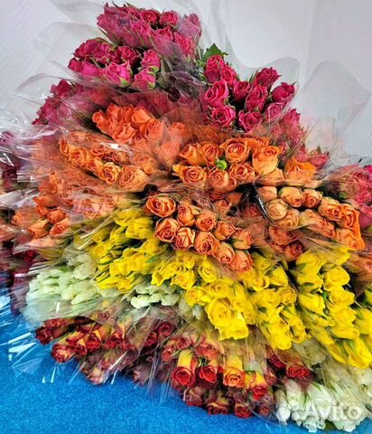Цветы розы 21 51 71 101 201 опт