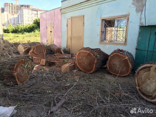 Договор Оказания Услуги По Спиливанию Дерева