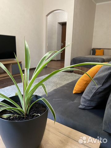 

1-к. квартира, 40 м², 3 кровати