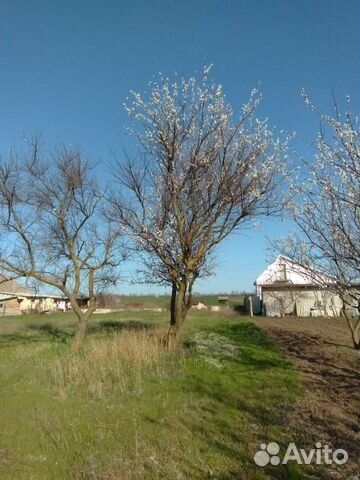 Участок 15 сот. (ИЖС)