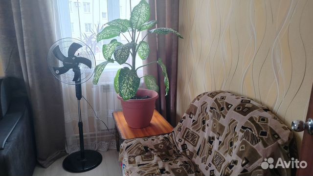 

1-к. квартира, 38 м², 1/4 эт.