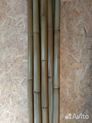 Стволы бамбука