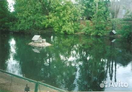 Бактерии для пруда и водоема