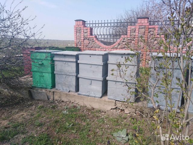 Улей для пчел купить на Зозу.ру - фотография № 2