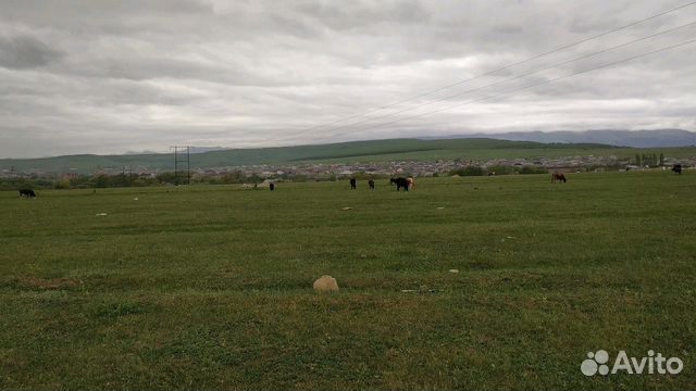 Земельный участок буйнакска. Село Атланаул. Атланаул фото.