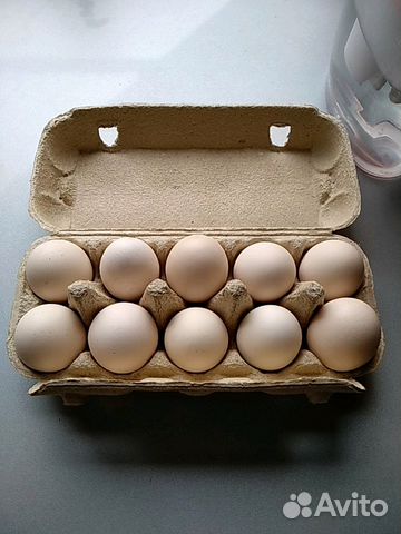 Яйца куриные пищевые столовые
