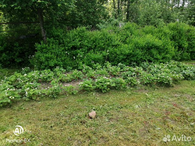 Участок 7 сот. (СНТ, ДНП)