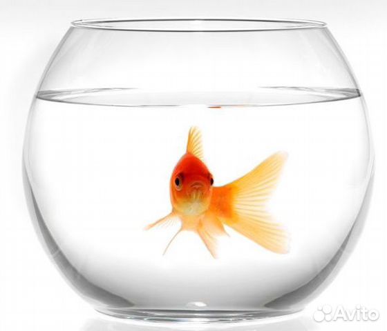 Круглый аквариум 1-13л