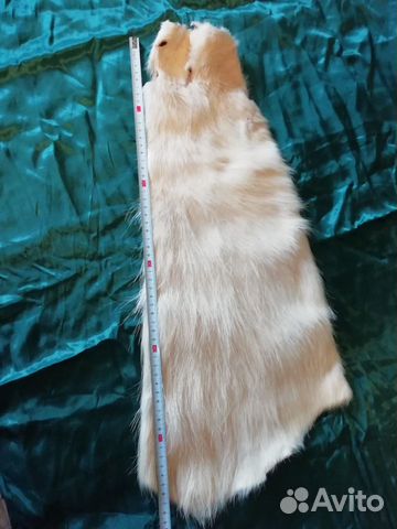 Шкурка ондатры (или нутрии) Шкурка ондатры (или нутрии)