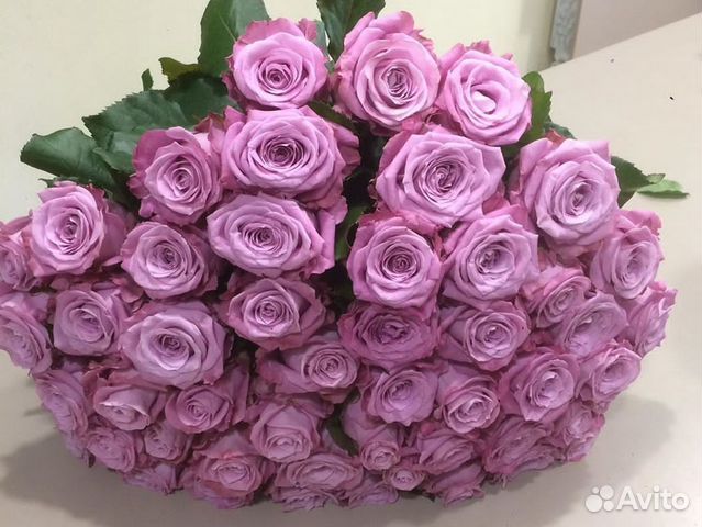 51 роза, Букеты Цветы Розы 25 101 151 201 Доставка 51 роза, Букеты Цветы Розы 25 101 151 201 Доставка