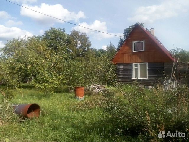 Погода в панковке новгородская область