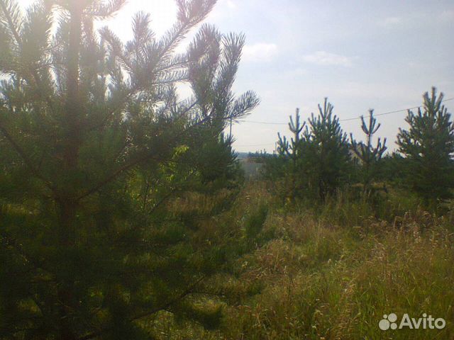 Участок 8 сот. (ИЖС)