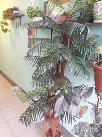 Искусственное дерево Искусственное дерево